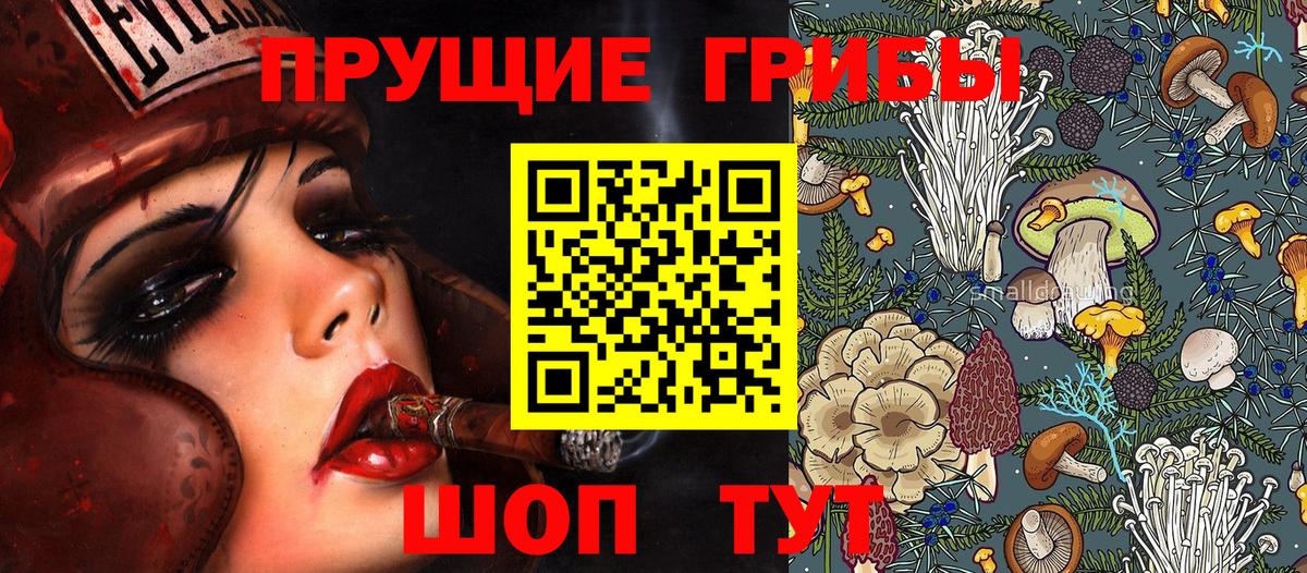 Галлюциногенные грибы Cubensis  Вход с VPN  Назарово  где можно купить   Псилоцибиновые грибы Cubensis 